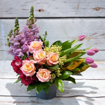 Fandango Pink
