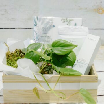 Serenity gift hamper with indoor plant and Huxter pamper products