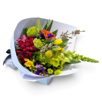 Bottlebrush – Bright Posy