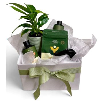 Potting Shed – Plant Gift Box