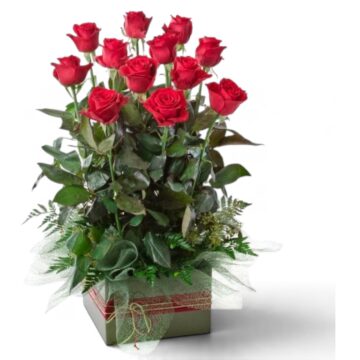 King Parrot – Rose Box Arrangement