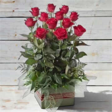 King Parrot – a dozen red roses in a box arrangement