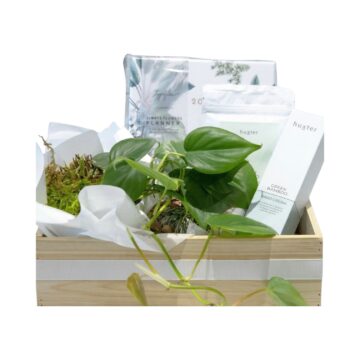 Misty Morning – Pamper Gift Box