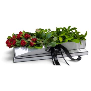Firetail – Rose Presentation Box