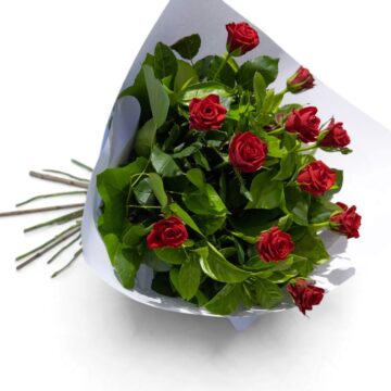 Star Finch – Rose Bouquet