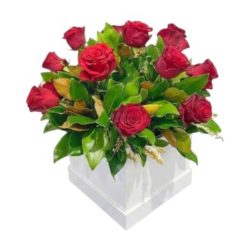 Scarlet Robin rose mini box by Stalks N Stems, Rowville florist