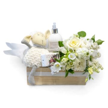 Little Wren – New Baby Hamper