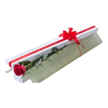 Red-browed Finch single rose gift box by Stalks N Stems, Rowville florist