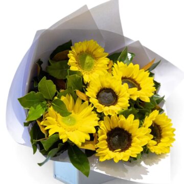 Tecoma – Sunflower Bouquet