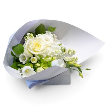 Snow Gum – White Posy
