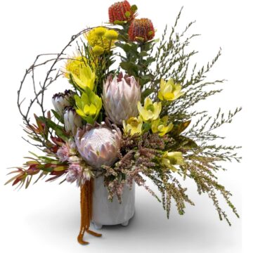 Lyrebird – Native Arrangement