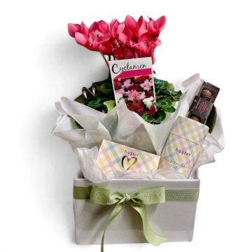 Mountain Retreat – Pamper Gift Box